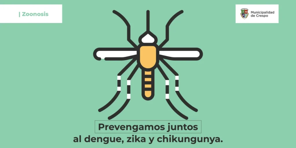 2024_Dengue-1280x640