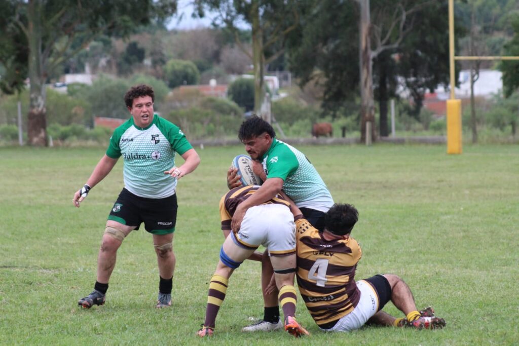 Rugby Unión
