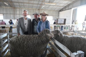 Frigerio campo