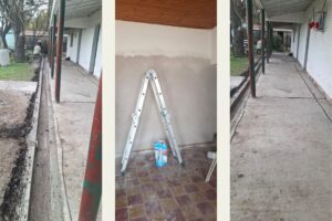 web (16)