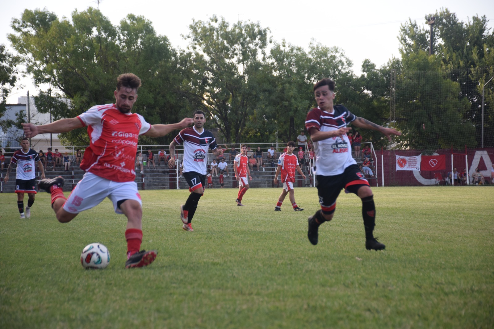 WhatsApp Image 2026-02-10 at 08.45.50