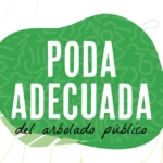 PODA ADECUADA DEL ARBOLADO PÚBLICO