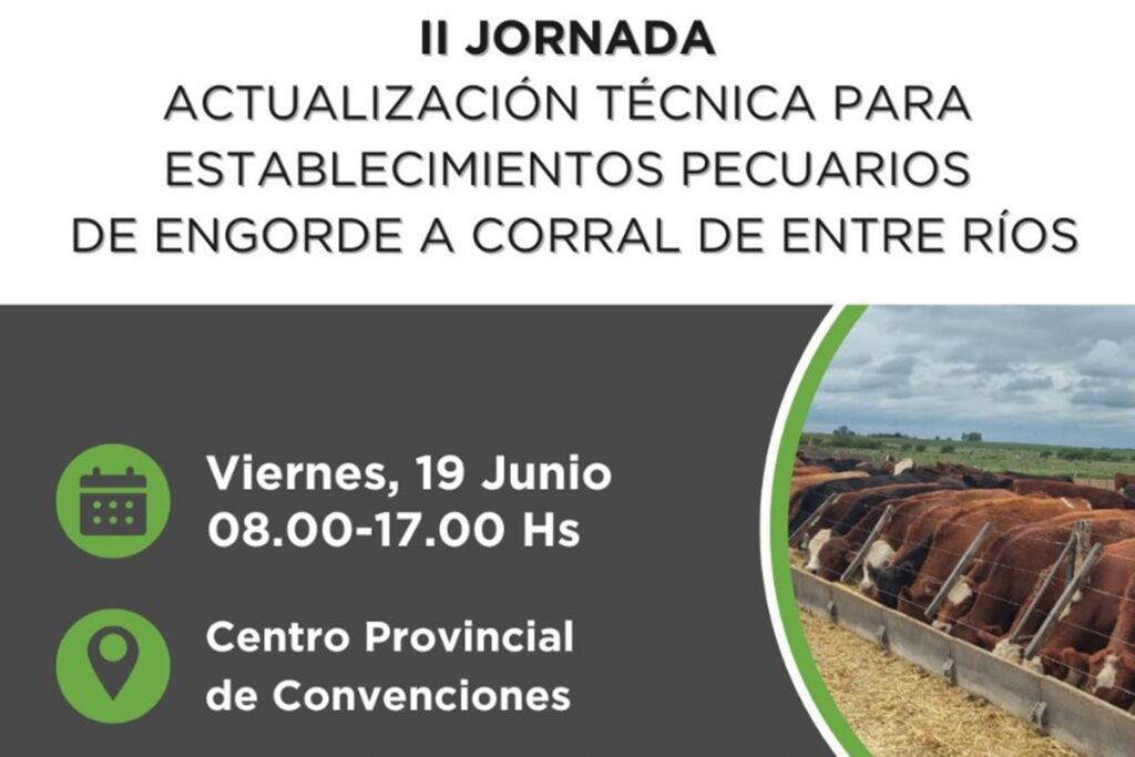 engorde